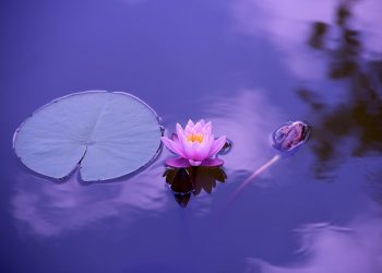【細說人生】第348集－1000年前的一篇美文，遠勝當今所有「雞湯」！