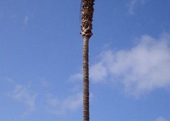 【慧思蘭心】 養好你的大氣 今後必有福氣