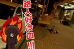 香港希望之聲