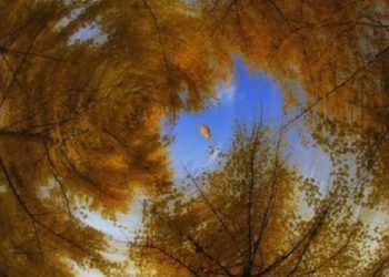 《唐人街》-“投胎轉世”