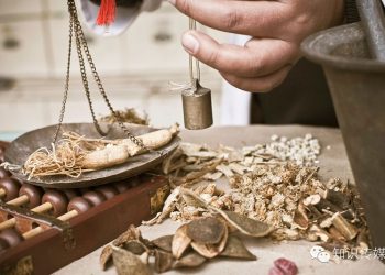 【中醫與養生】青少年為何不長肉