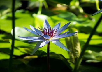 【養生好習慣】 養生保健不用花大錢