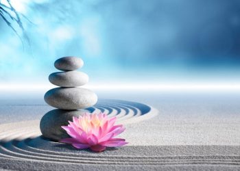 【細說人生】第432集 － 智者不與人爭強