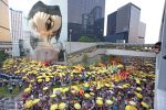 香港希望之聲 香港希望之聲
