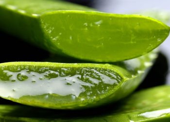 【養生好習慣】曬傷怎處理？蘆薈有效嗎？醫師教你 6 步驟完整曬傷急救