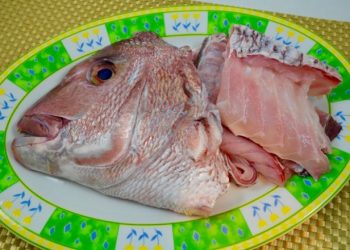 『粵』日式生味噌鯛魚頭湯、肉松茨飯