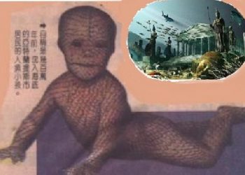 《唐人街》-“海底男孩”