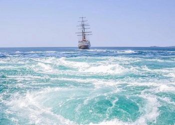 【人海浮沉】蟻多可以摟死象