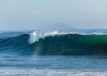 【人海浮沉】人性的回歸