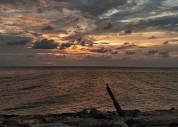 【人海浮沉】戊戌年的循環