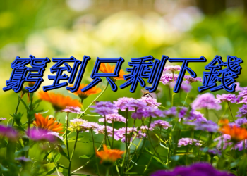 【細說人生】【視頻】第511集 – 窮到只剩下錢