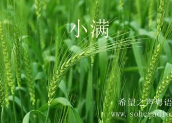 【節氣與養生】純陽四月小滿至   夏初養生防未病