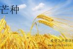 香港希望之聲 香港希望之聲