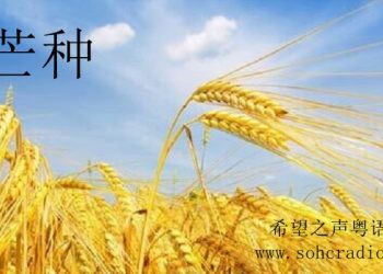 【節氣與養生】芒種爭時忙   仲夏伴梅雨