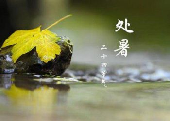 【節氣與養生】處暑到 爭秋奪暑防秋燥