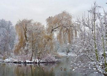【節氣與養生】小雪天  降瑞雪兆豐年