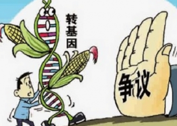 《唐人街》-“轉基因”