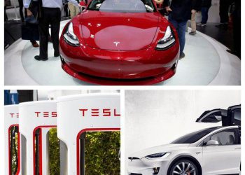 什麼原因導致電動汽車巨頭特斯拉股價大幅波動？