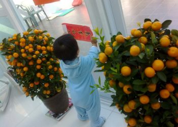 第120集_《黃歷新年習俗》(上)