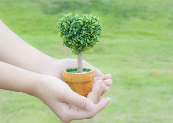 第221集_植樹節