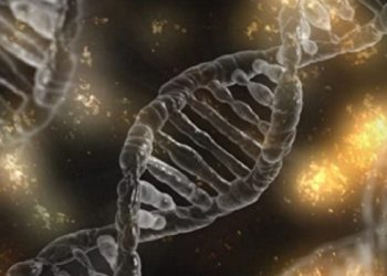 【生活小百科】第214集  打坐可逆轉引發焦慮的DNA分子反應