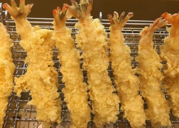 第260集_有衣食