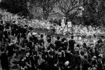 香港希望之聲