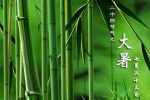 香港希望之聲