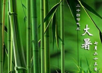 【節氣與養生】今日大暑至萬物榮華 養生伏姜伏茶燒伏香