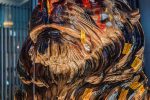 香港希望之聲