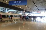 香港希望之聲