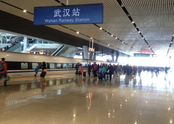 第393集_新型冠狀病毒