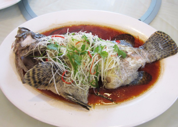 (龍馬精神) 馬蹄蘭豆炒蝦球       清蒸鮮魚