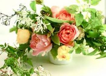 【花園漫步】 第28集: 玫瑰（Rose）的插花（18）
