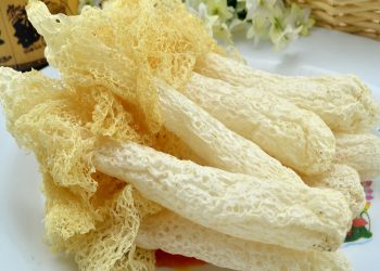 『粵』竹笙麒麟素鵝