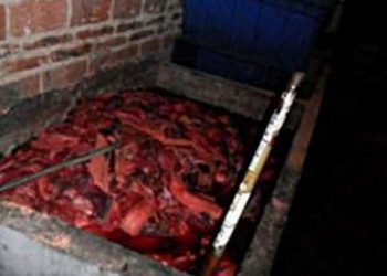 《唐人街》－“毒豬肉制食品”