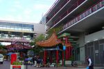 香港希望之聲