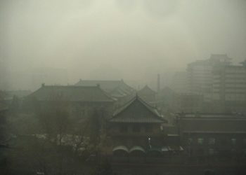【烏龍茶餐廳】2013 阿爺大事回顧