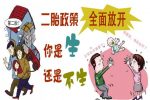 香港希望之聲