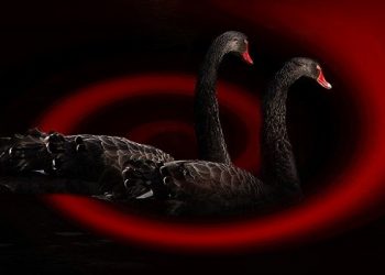 【粵講粵有理】從復旦大學事件看中共2020可能遇上的黑天鵝