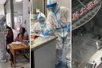 香港希望之聲