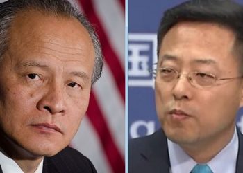 與趙立堅內訌還是唱雙簧？崔天凱：謠傳美軍播毒很危險