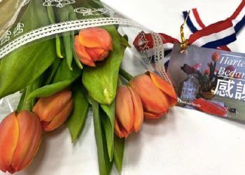 荷蘭3999朵鬱金香飛向臺灣 國花慰一線醫護濃濃謝意