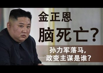 金正恩腦死亡?孫力軍落馬必涉政變陰謀,背後的主謀是誰?