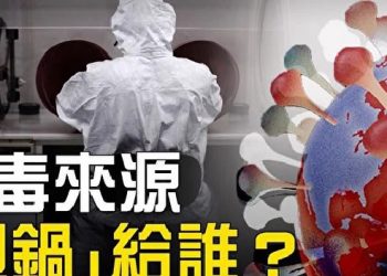 臺灣新增5例境外移入 珊瑚公主號7人返臺4人染疫