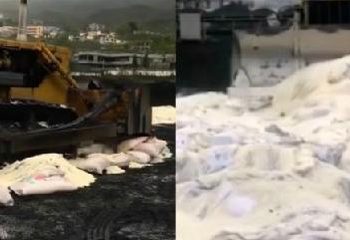 再現毒大米！湖南益陽近百噸鎘超標大米流入市場