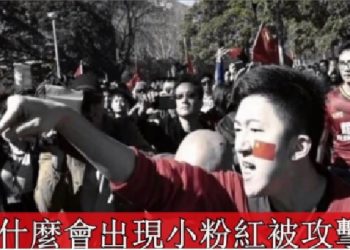 【粵講粵有理】為什麼會出現小粉紅被攻擊?