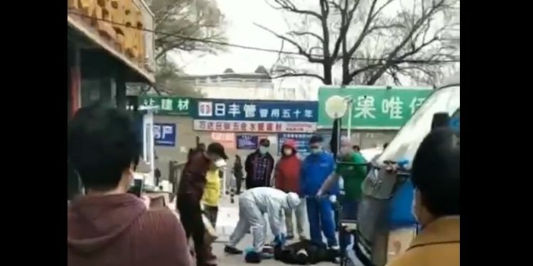 黑龍江疫情大爆發,哈爾濱出現隨地倒(視頻截圖)