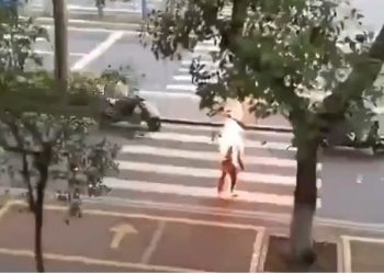 慘！廣東湛江原油寶受害者自焚死亡 官方闢謠（視頻）
