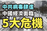 香港希望之聲